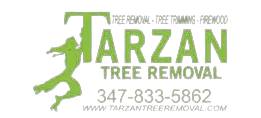 Tarzan Tree Removal, LLC